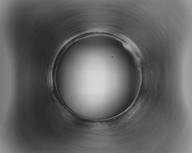 X0000102270980200807251346