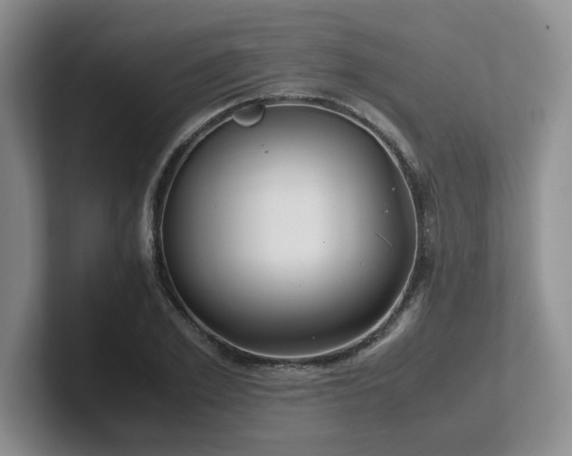 X0000102270981200807251346