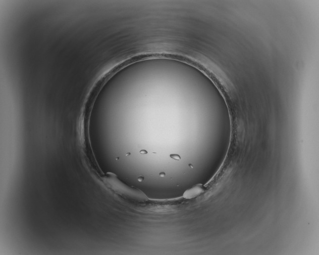 X0000102270982200807251346