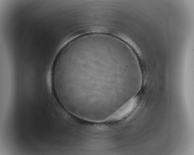 X0000102270983200807251346