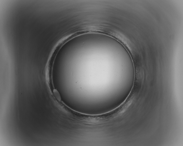 X0000102270987200807251346