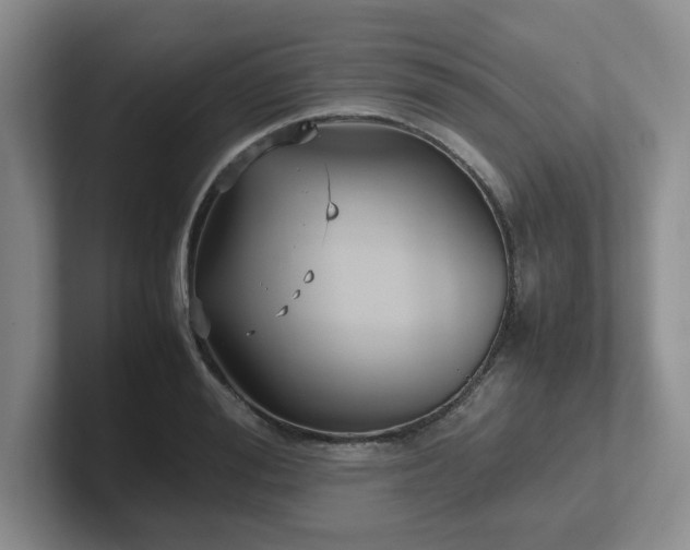 X0000102270988200807251346