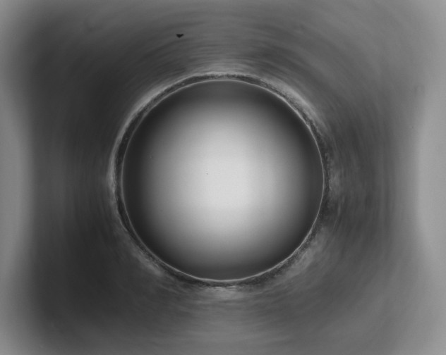 X0000102270990200807251346