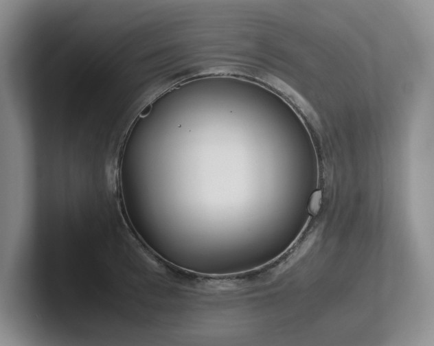 X0000102270993200807251346