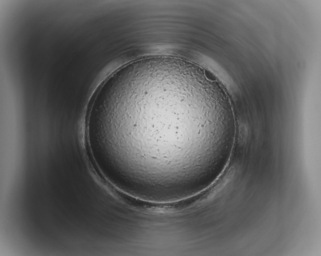 X0000102270994200807251346
