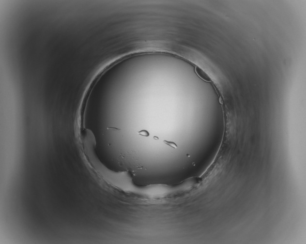 X0000102270996200807251346