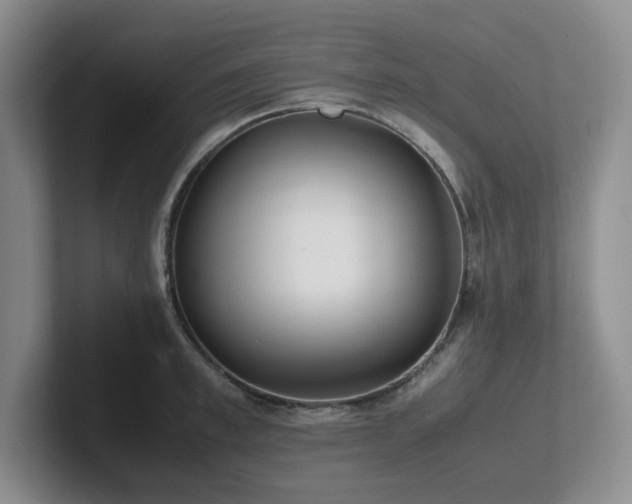 X0000102270997200807251346