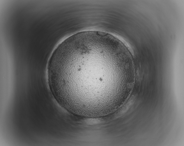 X0000102270998200807251346
