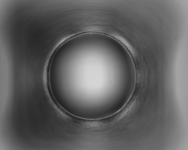 X0000102270999200807251346