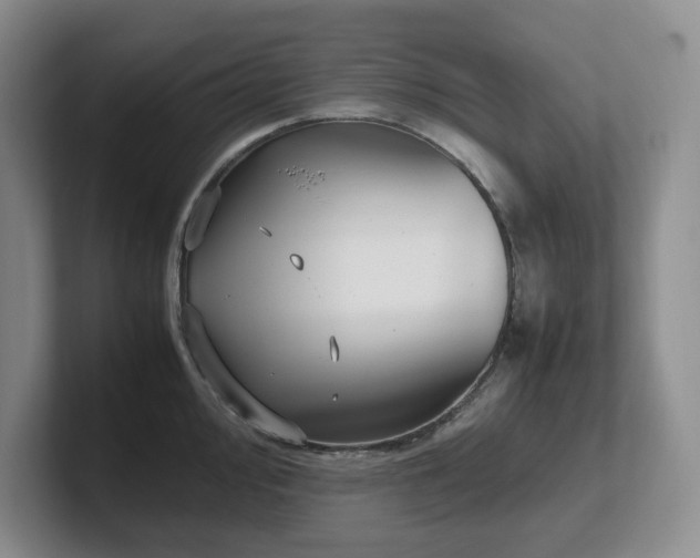 X0000102271000200807251346