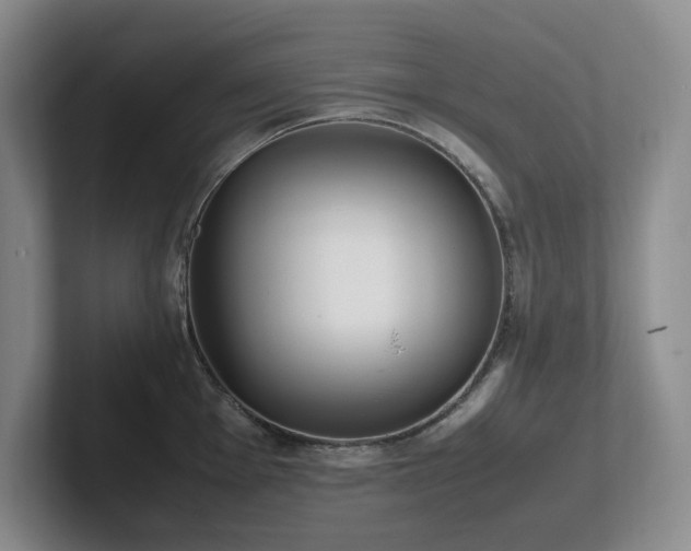 X0000102271001200807251345