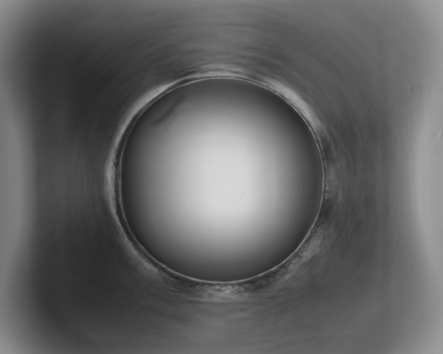 X0000102271003200807251345