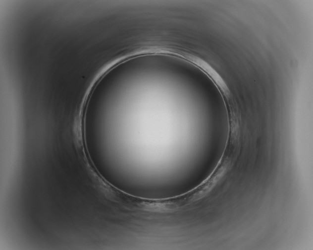 X0000102271004200807251345