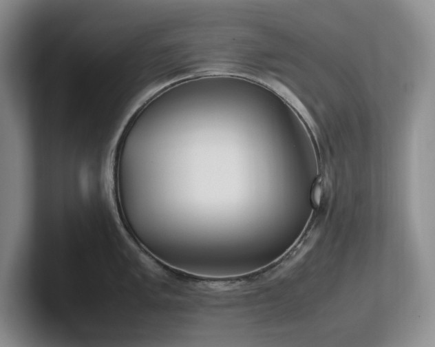 X0000102271005200807251345