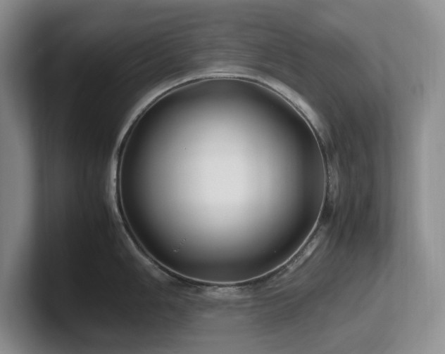 X0000102271006200807251345
