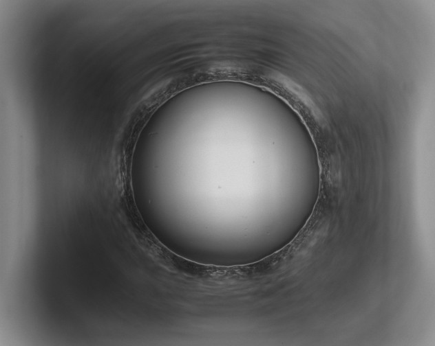X0000102271015200807251345