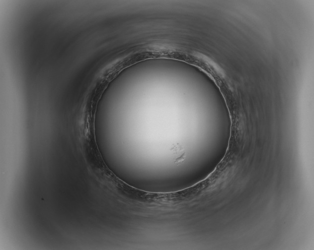 X0000102271016200807251345