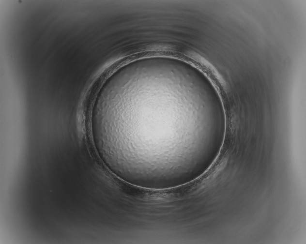 X0000102271019200807251345