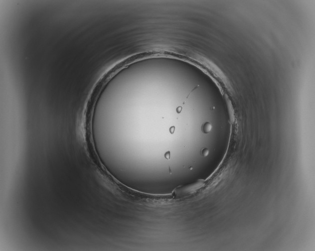 X0000102271020200807251345