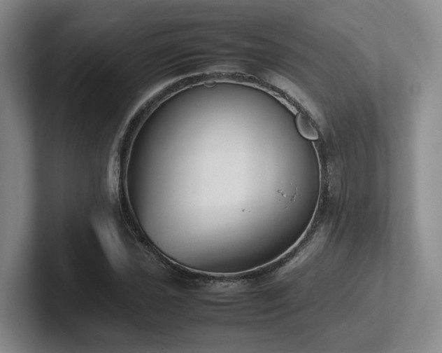 X0000102271021200807251345