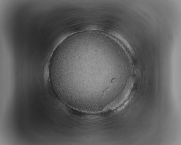 X0000102271023200807251345