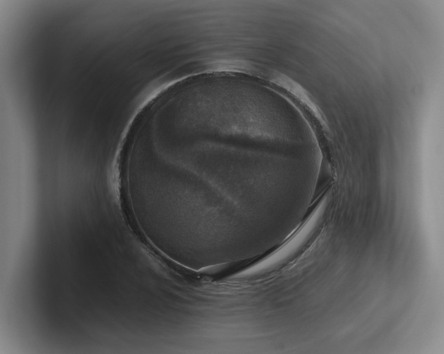 X0000102271024200807251345