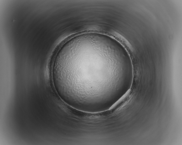 X0000102271027200807251345