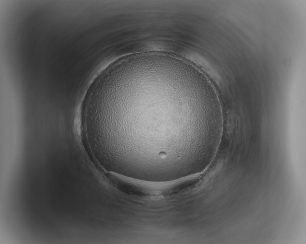 X0000102271031200807251345