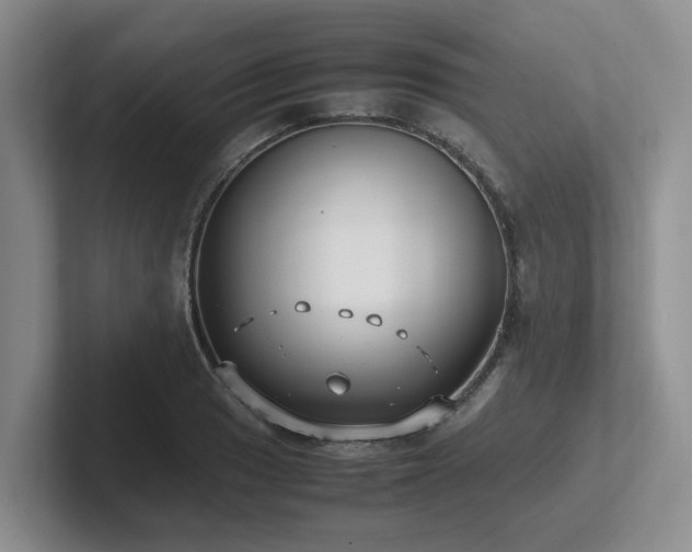 X0000102271033200807251345