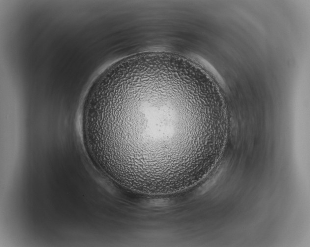 X0000102271035200807251345