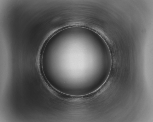 X0000102271038200807251345