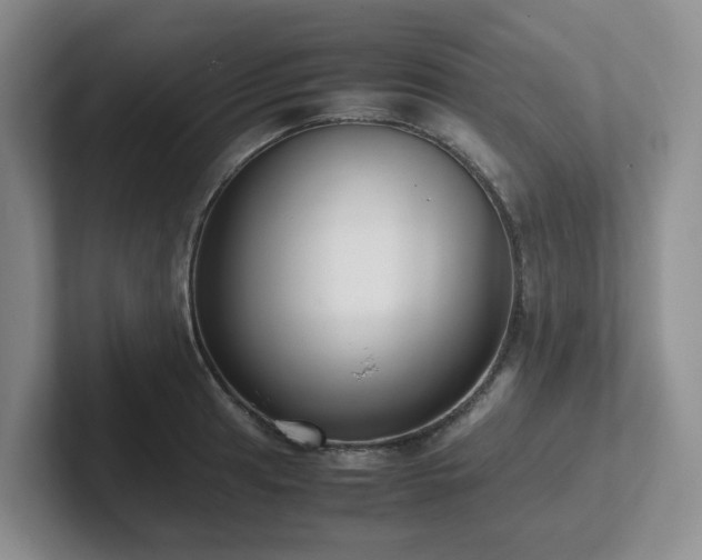 X0000102271041200807251345