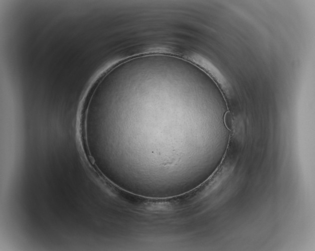 X0000102271043200807251345