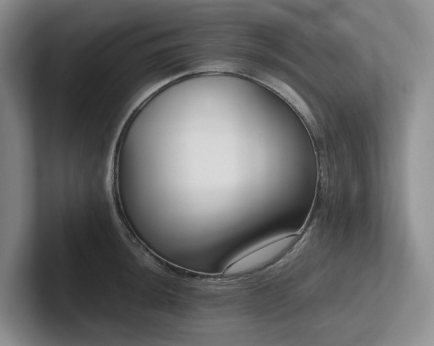 X0000102271044200807251345