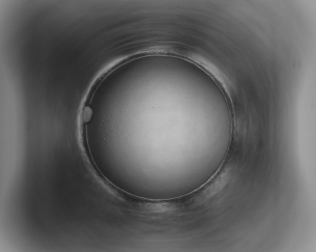 X0000102271045200807251345