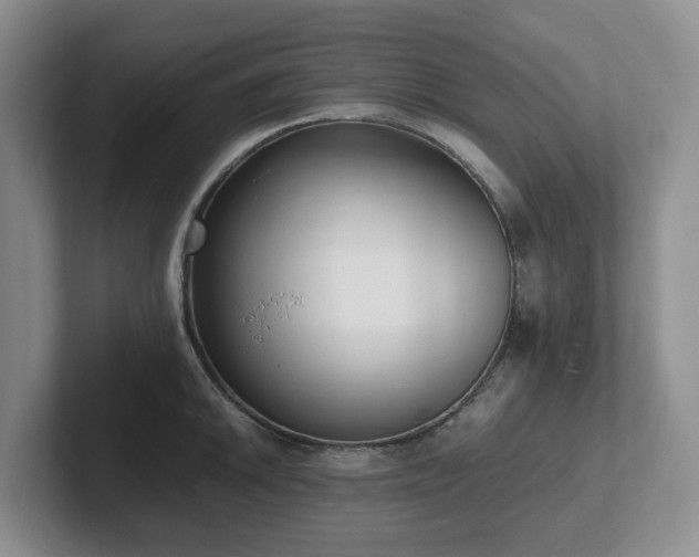 X0000102271046200807251345