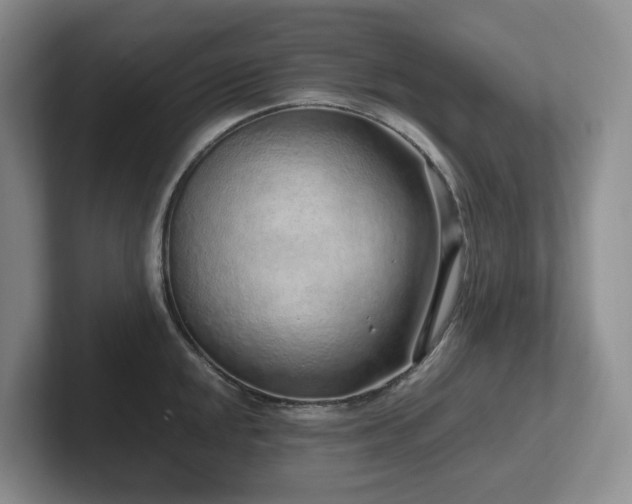 X0000102271048200807251345