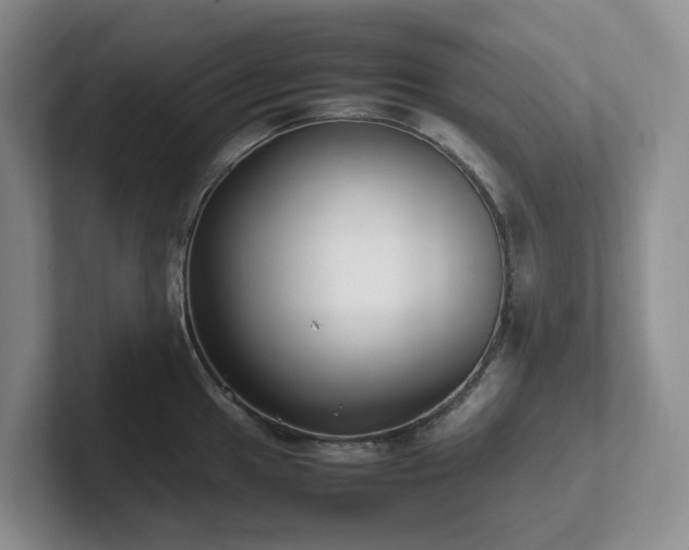 X0000102271049200807251345