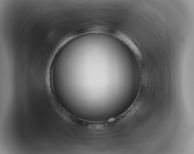 X0000102271051200807251345