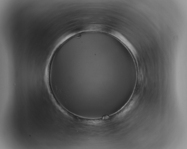 X0000102271053200807251345