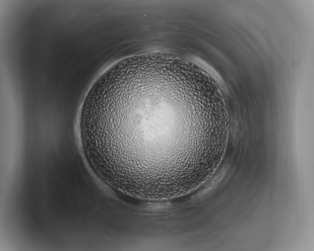 X0000102271055200807251345