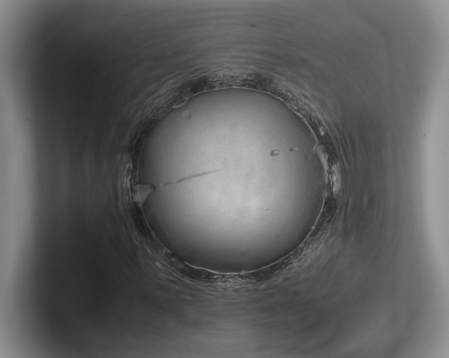 X0000102271059200807251345