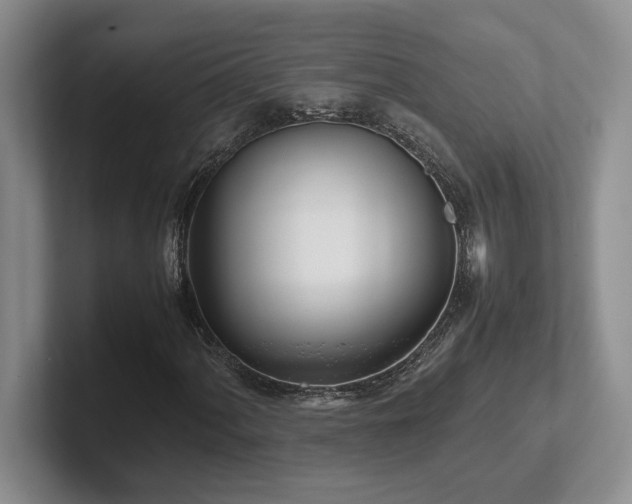 X0000102271060200807251345