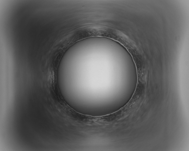 X0000102271061200807251345
