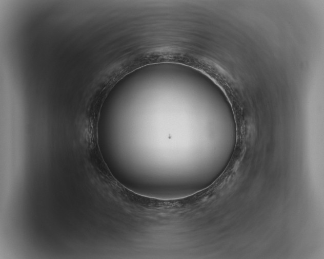 X0000102271062200807251345