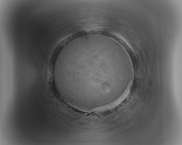 X0000102271063200807251345