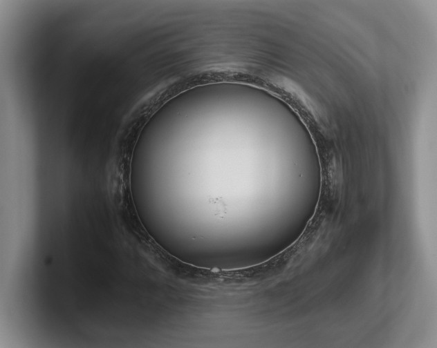 X0000102271064200807251345