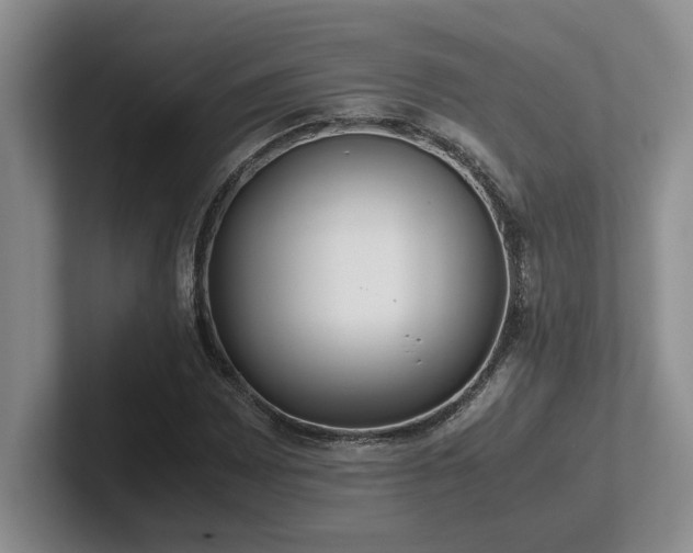 X0000102271065200807251345