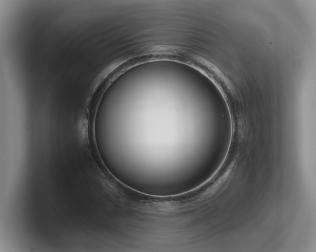 X0000102271066200807251345