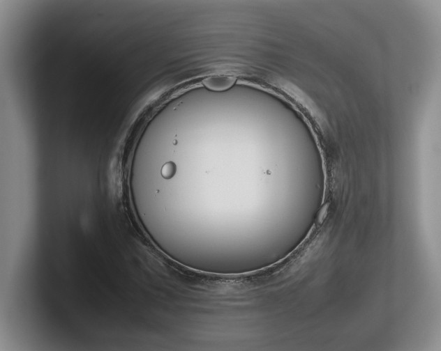 X0000102271067200807251345